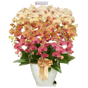 Rangkaian bunga meja Nalea Florist AVRELUNE 16 dengan rangkaian bunga segar