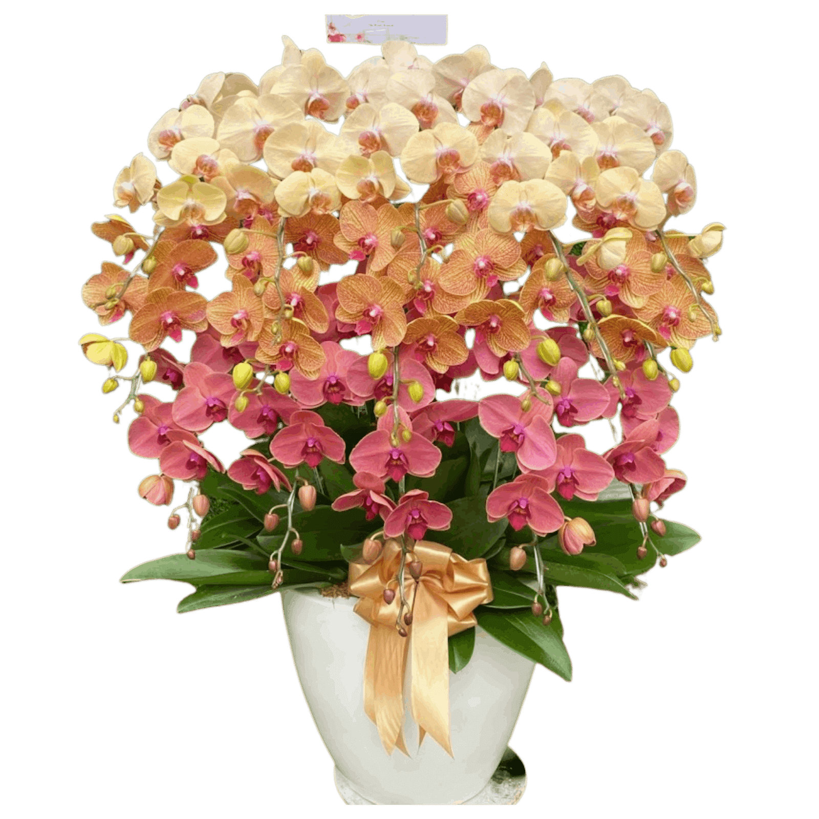 Rangkaian bunga meja Nalea Florist AVRELUNE 16 dengan rangkaian bunga segar